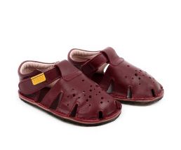 Aranya leather 2021 - Prugna